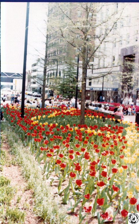 1980 04 20 48 Fayetteville St Mall RCB.jpg